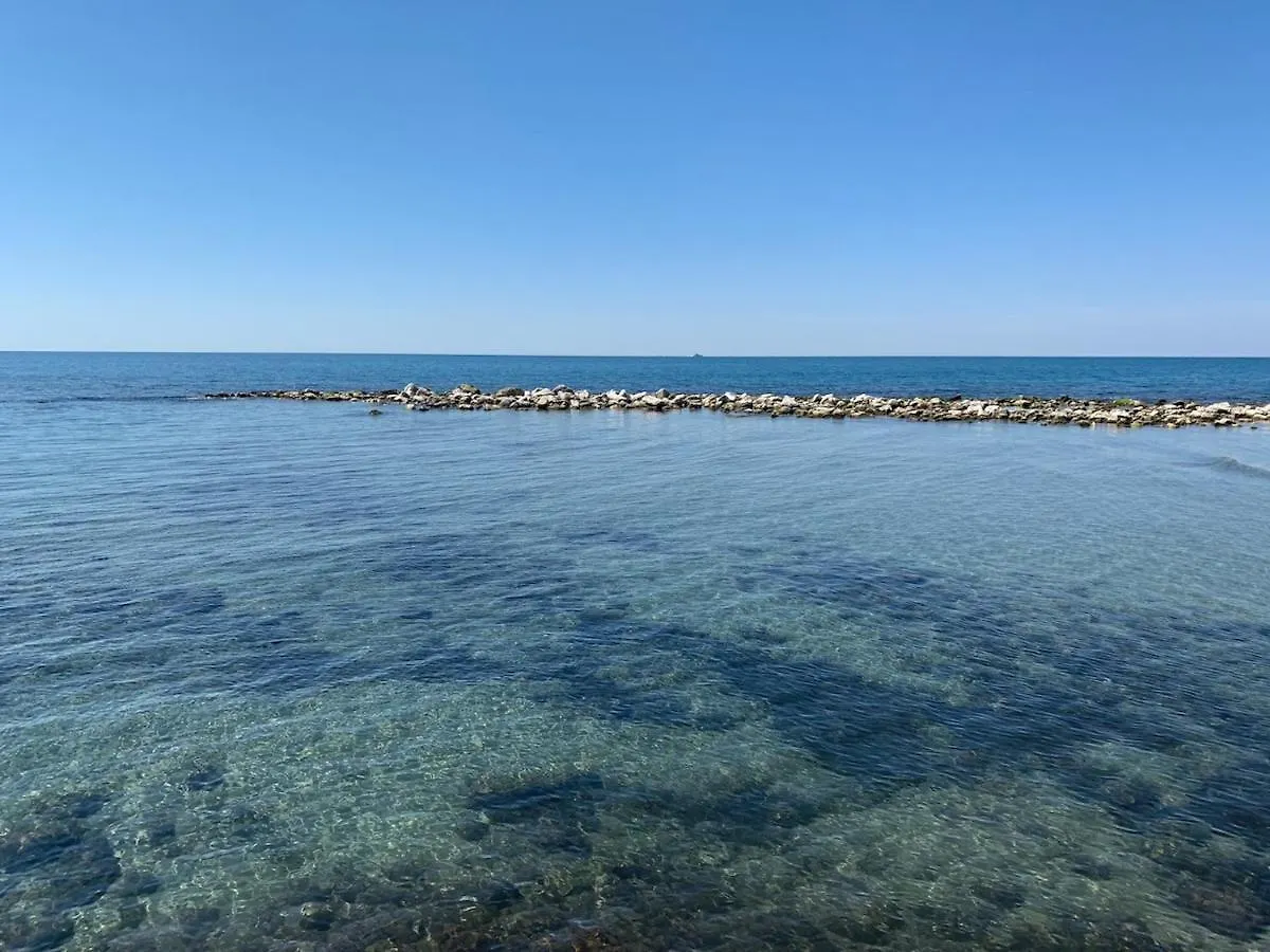 Apartments With Private Outdoor Area Maximum 1 Km From The Sea In Marina Di Massa Massa (Tuscany)
